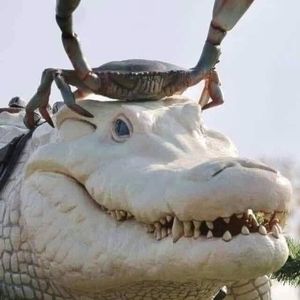 Meet your Posher, Caroline